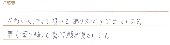 実筆のご感想 S&S様