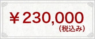 ¥230,000(税込み)