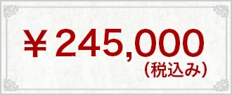 ¥245,000(税込み)