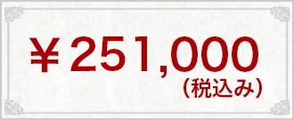 ¥251,000(税込み)
